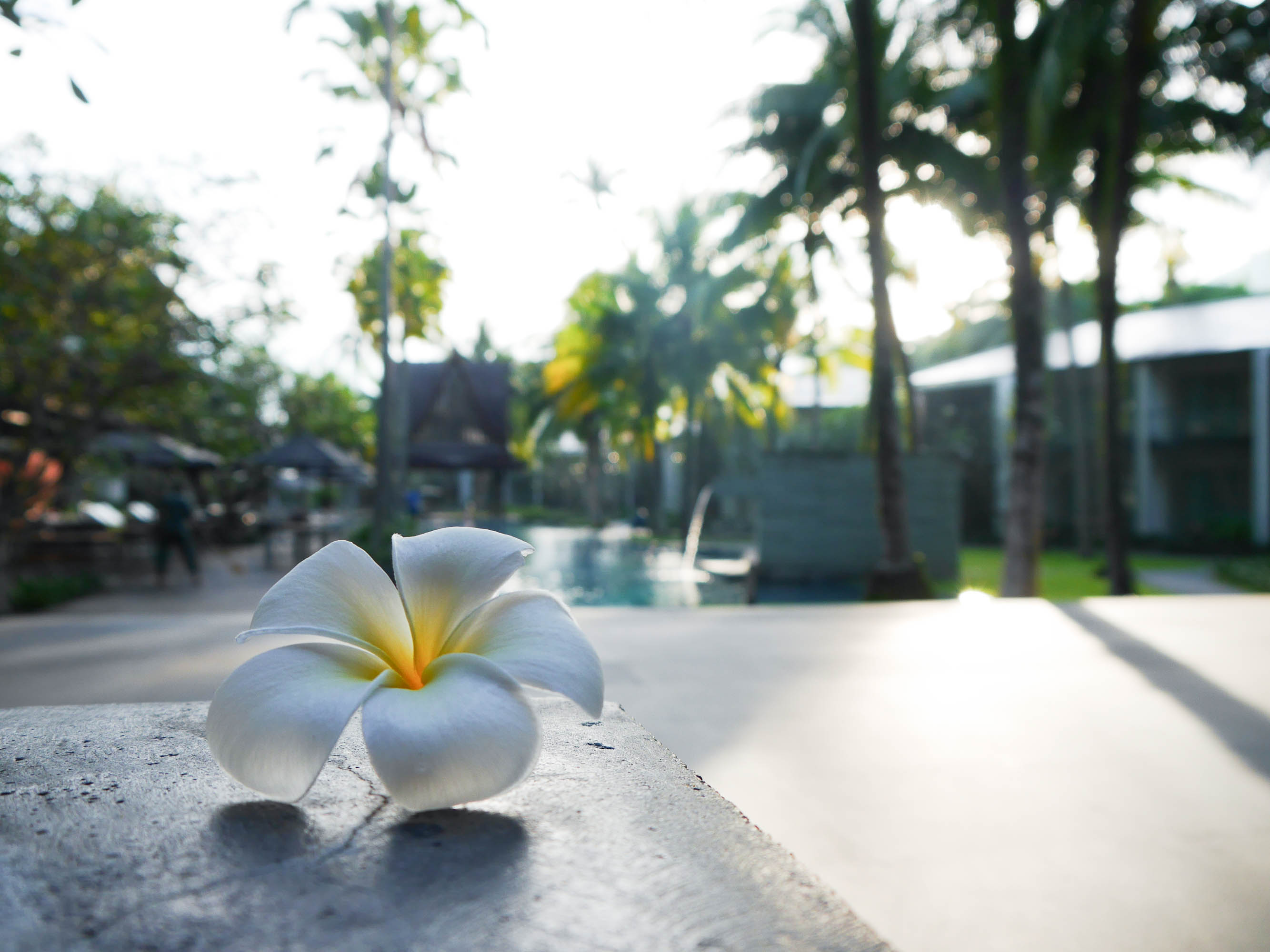 theclassycloud-hotel-review-phuket-twin-palms-17-von-22