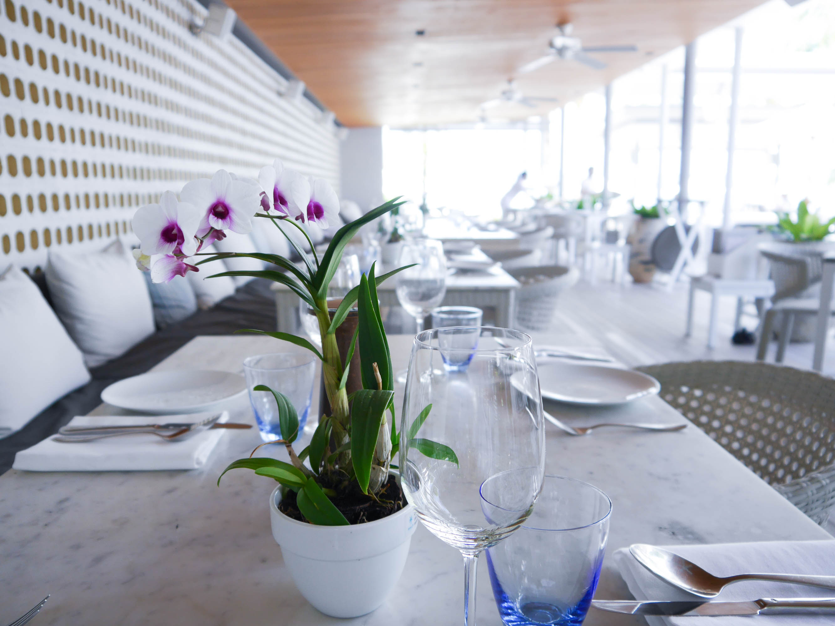 theclassycloud-hotel-review-phuket-twin-palms-20-von-22